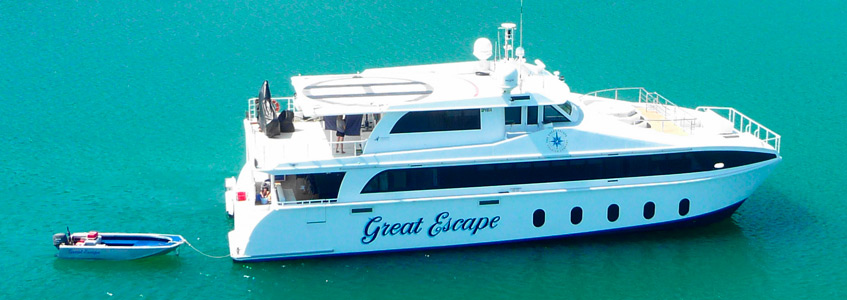 Cruise & Charter